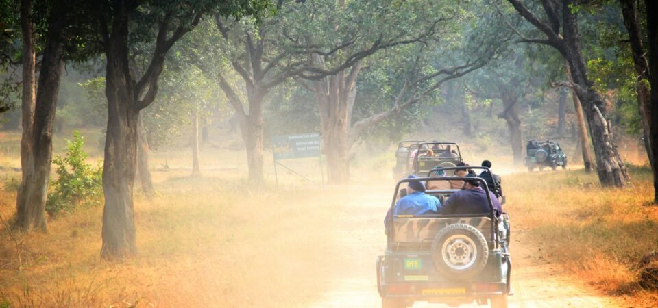 Jeep Ride in Rajasthan