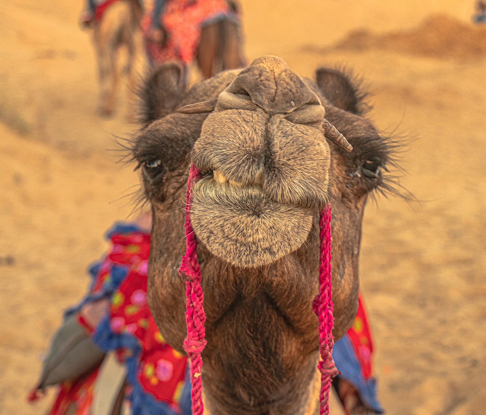 JAISALMER